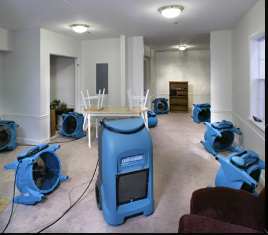 Air movers and dehumidifier setup for Water Extraction & Removal in Bonney Lake