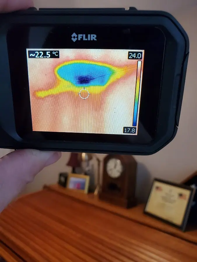 Thermal imaging inspection for water damage in Bonney Lake